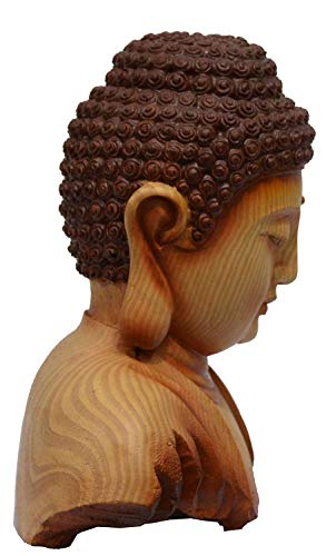 Buy Lavanshi Positivity Energy And Productivity Good Luck Enabled