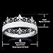 DcZeRong Adult Men Crowns Birthday Costume Prom King Crown Silver Rhinestone Crown Full Tiara Crown