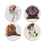 Buttonsmith Puppies Magnet Set - Set of 4 1.25
