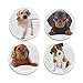 Buttonsmith Puppies Magnet Set - Set of 4 1.25