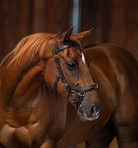 Rambo Micklem Multibridle Horse Black