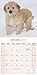 Golden Retriever Puppies Calendar - Only Dog Breed Golden Retriever Puppies Calendar - 2016 Wall calendars - Dog Calendars - Monthly Wall Calendar by Avonside