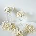 Veryhome Blooming Silk Hydrangea Flower Heads for DIY Bouquets Wedding Centerpieces Home Decor (Cream White) 12pcs