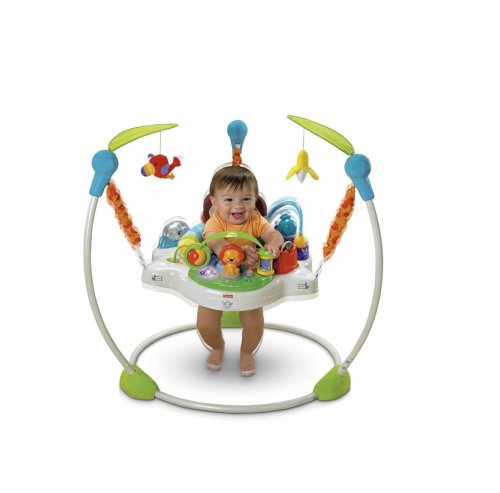 fisher price precious planet jumperoo