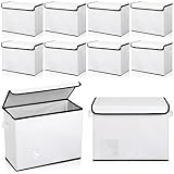 Tanlade 10 Pcs Comic Book Storage Boxes, Heavy Duty