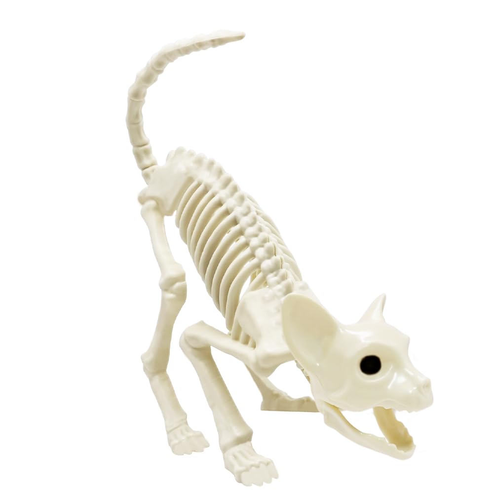 Photo 1 of LUKBERA Cat Halloween Decoration, Animal Skeleton with Posable Joints for Graveyard Scene and Haunted Houses