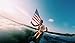 Poleish Sports Bottle Bash LED America Stars and Stripes Accessory Does Not Include Poles (Polish Horseshoes, Beersbee), 10.5 inch Disc (522-NITE)