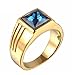 PAMTIER Men's Stainless Steel Square Blue Gemstone Ring (Gold) Size 11