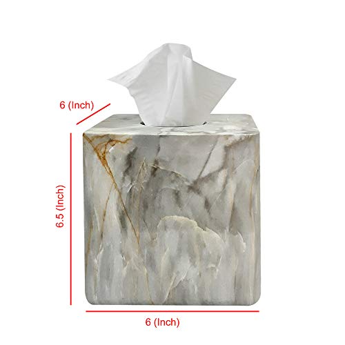 nu steel Marble nusteel Stone Hedge Resin Decorative Square Facial Tissue Box Cover Holder for Bathroom Vanity Countertops, Bedroom Dressers, Night Stands, Desks and Tables