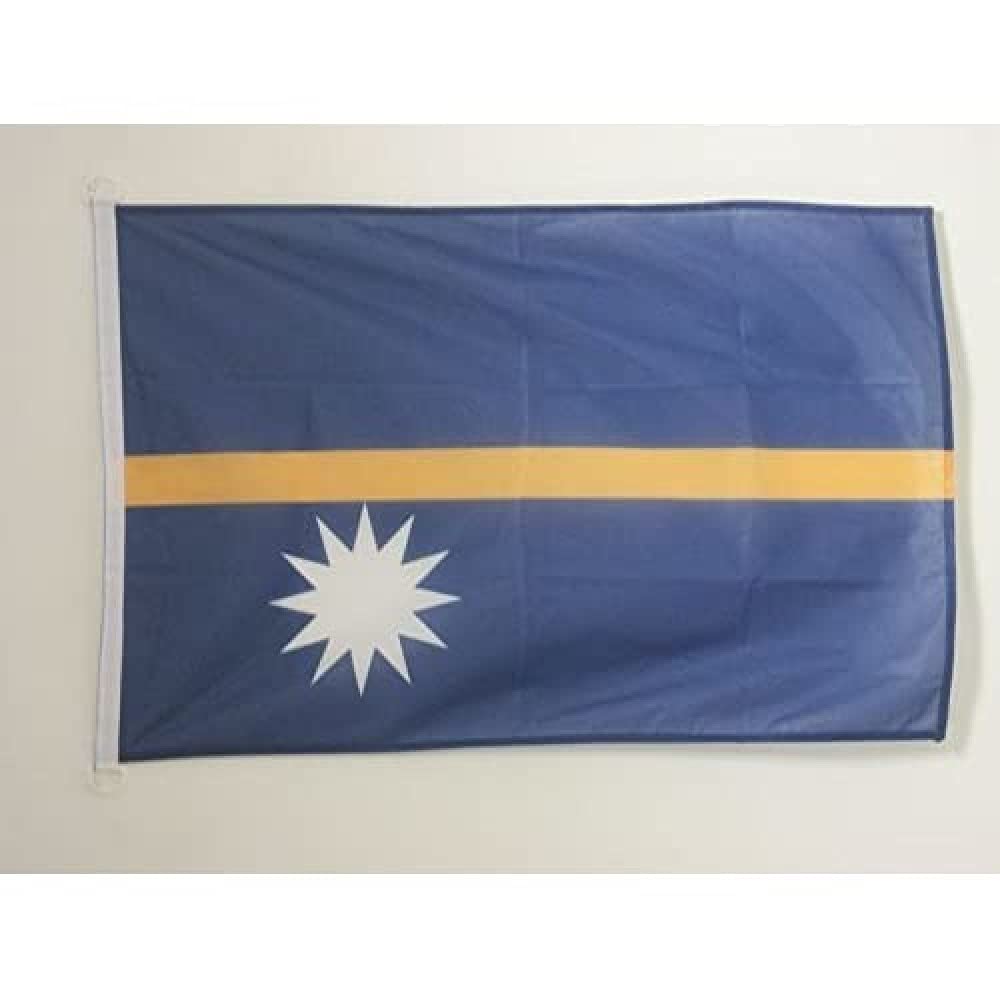 AZ FLAG - Nauru Flag - 2x3 Ft - For Outdoor - Nauruan Banner Knitted Polyester with Two Plastic Rings - Fade Resistant - Vivid Colors - 2' x 3' Feet - 90x60 Cm