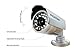 LaView 4 Camera Security System, D1 RealTime 8 Channel DVR w/500GB HDD and 4 Bullet 600TVL Day and Night Indoor/Outdoor Surveillance Kit