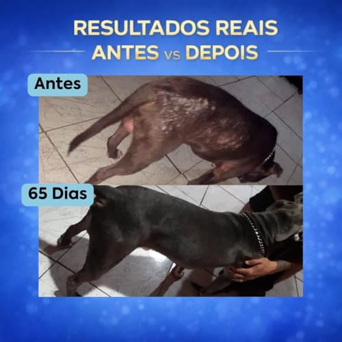 Suplemento Cachorro Forte Pelo & Derme 250g | Pele Saudável e Pelagem Forte | Auxilia na Queda de Pelos e Coceiras | Biotina, Zinco e Ômega 3 | VeterinUp