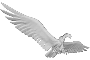 Printle Animal Andean Condor-Andean Condor Flying, Looking Down, with its Talons Ready to Capture its Prey Figure for Diorama