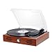 MUSITREND Mini Stereo Turntable 3 Speed Record Player with Built-in Speakers, Vinyl to MP3 Recording, RCA Line Out, Natural Wood