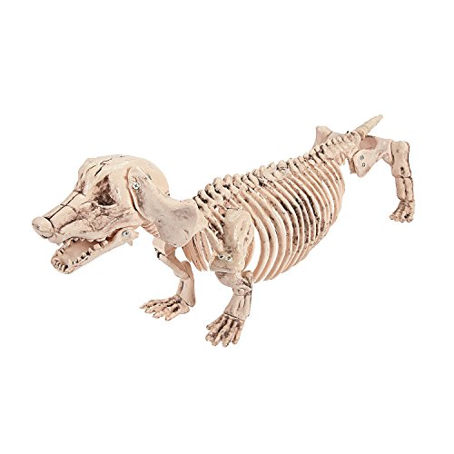 Halloween Dachshund Skeleton