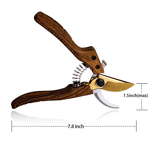 Oara SK-5 Steel Hand Pruners for Garden, Garden pruners Shears, Pruning Shears Garden, Garden Shears Clippers for Plants, Clippers for Garden Work