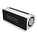DOTING Bluetooth Speakers,Wireless Speaker 20W Drive and 13W Subwoofer with DSP Technology Enhanced Bass, Portable Speaker with NFC,Touch,Dsp,HDSound,Bluetooth 4.2,Built in Mic (Silver)