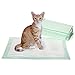 GOBUDDY Odor Reducing Disposable Super Absorbent Cat Litter Box Pads, 18in x 12in – Pack of 50