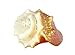Old World Christmas Golden Seashell Glass Blown Ornament for Christmas Tree
