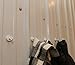 Neo Magnetics Neodymium Magnetic Hooks White, N50 Pack of 5, 1