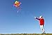 Hengda Kite So Beautiful Loving Heart Butterfly Kite Single Line Kite Incudes 30m String and Handle
