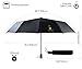WITKEEN DeNobilli Windproof Travel Umbrella, [Classic Black] Best Armored (10 Fiberglass Ribs) Auto Open Close Compact Travel Umbrellas with Real Wood Handle