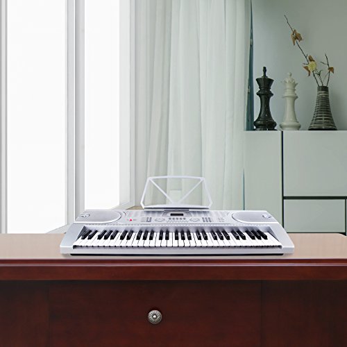 LAGRIMA 61 key Portable Electric Piano Keyboard, Include LED Display, USB/Headphones/MP3 Input, Music Stand, Power Supply and Microphone, Suit for Kids(Over 8 Years Old) Teen Adult Beginners, Silver