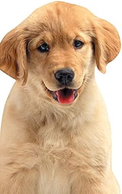 Playhouse Golden Retriever Puppy Die Cut Shaped Pocket Notebook