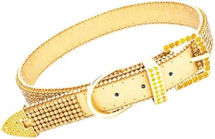 Vanderpump Pets The Giggy 2015 Commemorative Gold Dog Collar, Large