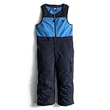 The North Face Insulated Bib Toddlers Ski Pants