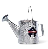 Behrens Manufacturing 206 Hot Dipped Steel Watering Can, 1.5 gal, 1.5 Gallon, Silver