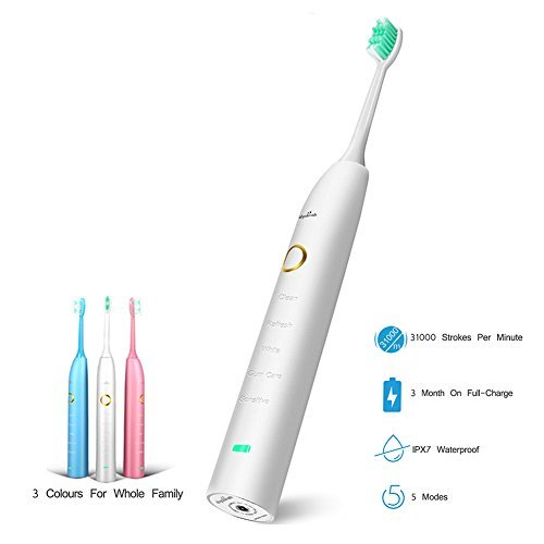 AMTOK Electric Toothbrush Sonicare Electronic Toothbrushes Sonic Rechargeable Toothbrush IPX7 Waterproof Toothbrush with Replacement Toothbrush Heads ( 5 Brushing Modes) White