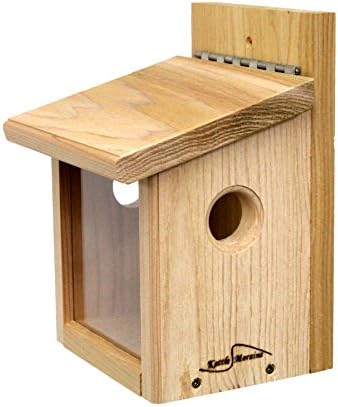 Kettle Moraine Cedar Post Mount Bluebird Mealworm Feeder