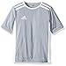 adidas Boys' Entrada 18 Jersey, Light Grey/White, Small