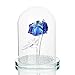 H&D Crystal Enchanted Rose Blue Rose Flower Figurine in a Glass Dome with Gift Box