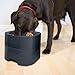 PET WEIGHTER Elevated Dog Bowls, Raised Dog Food Bowls for Large Dogs, Heavy Feeding Station Food & Water No Spill Non-Slip, Tall Bowl Stand for Extra Large Medium Small Dogs and Cats, Dishwasher Safe