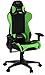 Verona V2 Advanced Racing Style Gaming Chair with High Backrest, Recliner, Swivel, Tilt, Rocker & Seat Height Adjustment, Lumbar & Headrest Pillows Included, Green - PC/Mac/Linux
