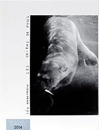 Les  chiens de fusil