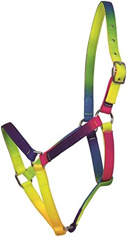 Amesbichler Rainbow Design Horse Headcollar Halter With Hot Bright Neon Adjustable Headpiece
