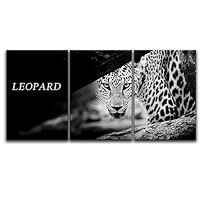 3 Panel Canvas Wall Art - Leopard in Black and White - Giclee Print Gallery Wrap Modern Home Art Ready to Hang - 16"x24" x 3 Panels