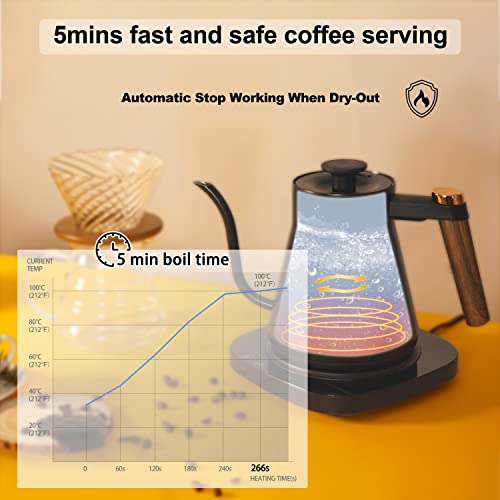 MOOSUM Electric Gooseneck Kettle Temperature Control, Coffee Kettle & Pour Over Kettle with 100