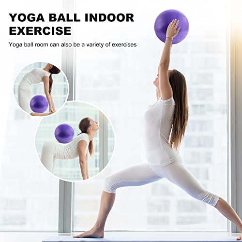 TECHP Pilates Mini Exercise Ball 8 Inch (Inflated) Stability Ball
