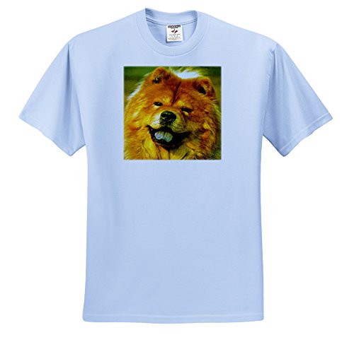 Dogs Chow Chow - Chow Chow - T-Shirts - Youth Light-Blue-T-Shirt Large(14-16) (ts_451_62)