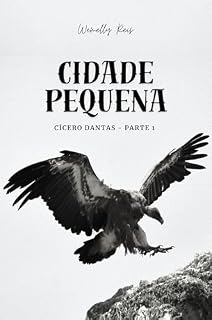 Livro Cidade Pequena: Cícero Dantas, Parte 1