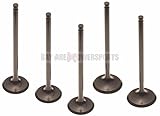 Titan Performance Yamaha Grizzly Rhino Raptor 660 3 Intake & 2 Exhaust Complete Valve Set 01-08