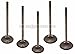 Titan Performance Yamaha Grizzly Rhino Raptor 660 3 Intake & 2 Exhaust Complete Valve Set 01-08