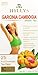 HYLEYS Tea Garcinia Cambogia Green Tea Original Flavor - 25 Tea Bags (12 Pack - 300 Tea Bags Total)