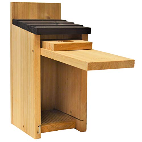 Wild Wings Cedar Blue Bird Box - Image 3
