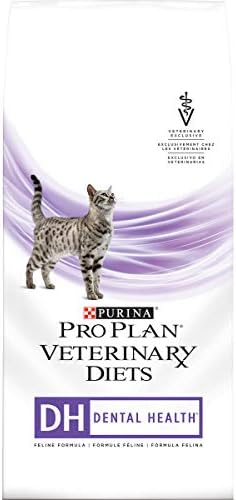 purina dental health