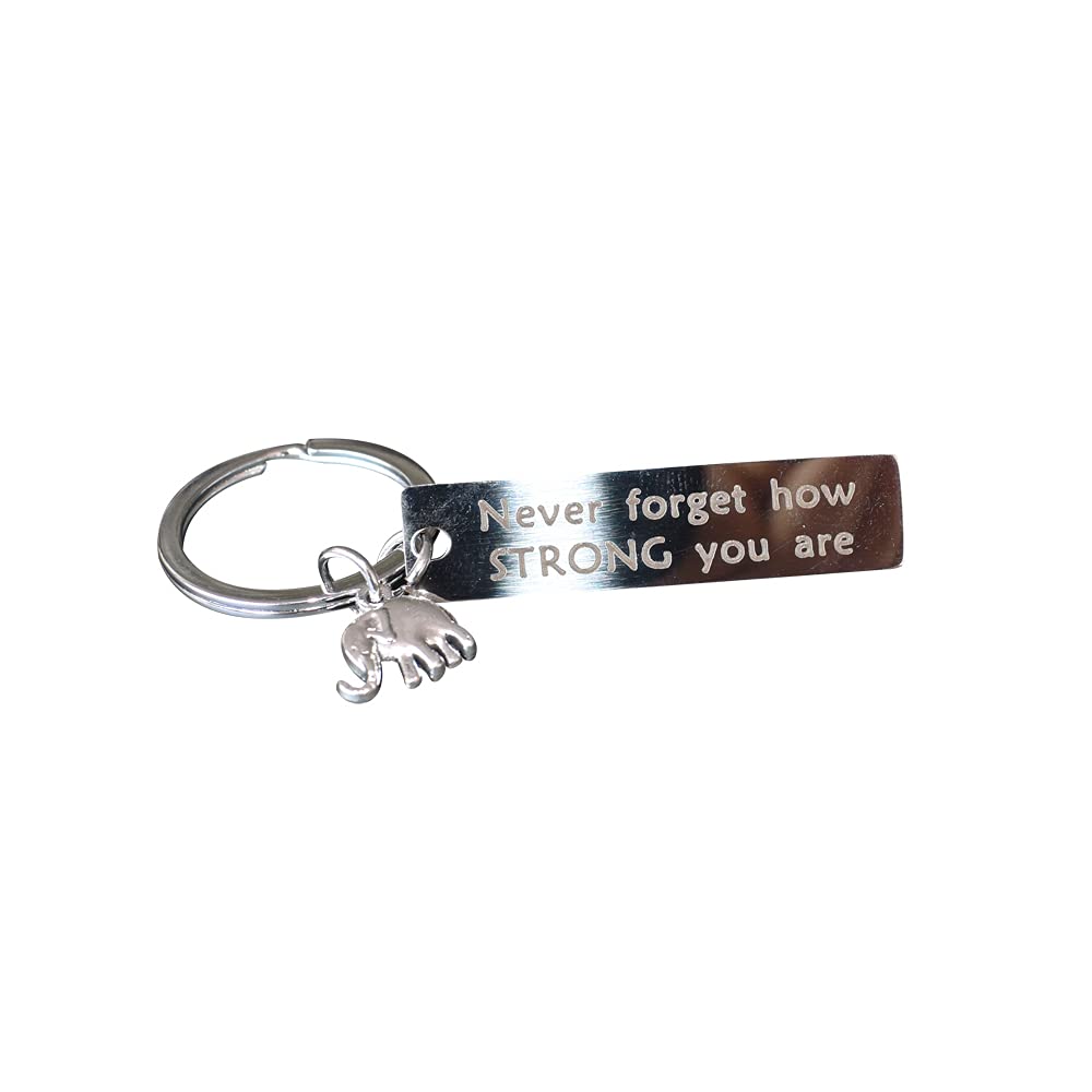 Pirhosigma Friendship Elephant Keychain Keyring Jewelry Lover Creative Cute Inspirational Gift For Friend Men Girls Lover w/Never Forget How Strong You are